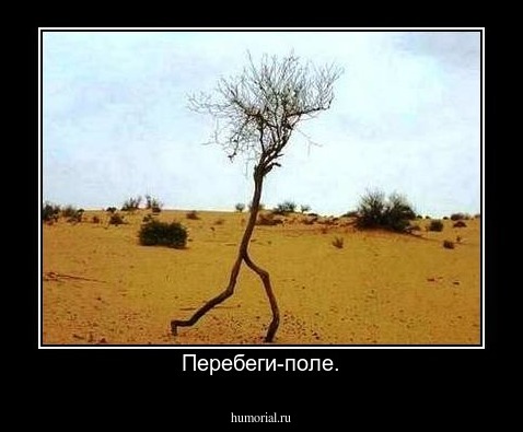Перебеги-поле.