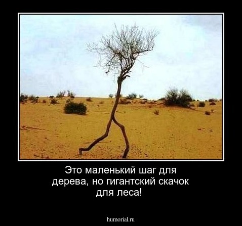 Это маленький шаг для дерева, но гигантский скачок для леса!