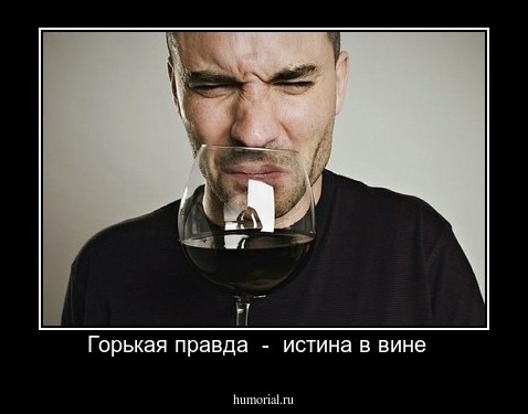  Горькая правда  -  истина в вине  