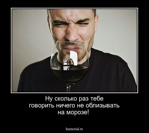 Ну сколько раз тебе говорить ничего не облизывать на морозе!