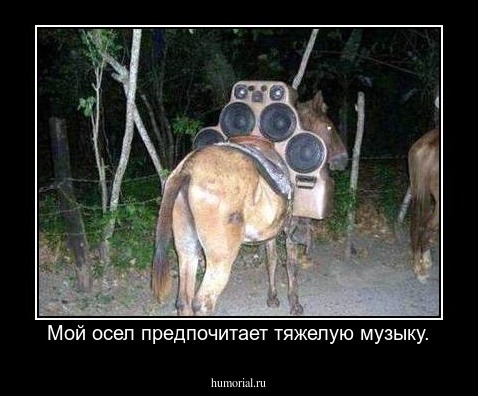 Мой осел предпочитает тяжелую музыку.