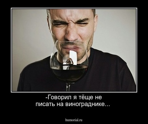 
-Говорил я тёще не писать на винограднике...