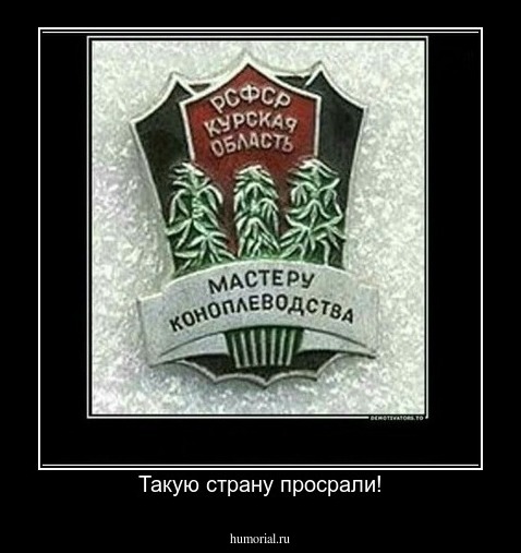 Такую страну просрали!