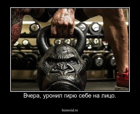 Вчера, уронил гирю себе на лицо.