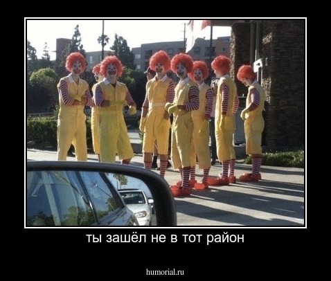 ты зашёл не в тот район