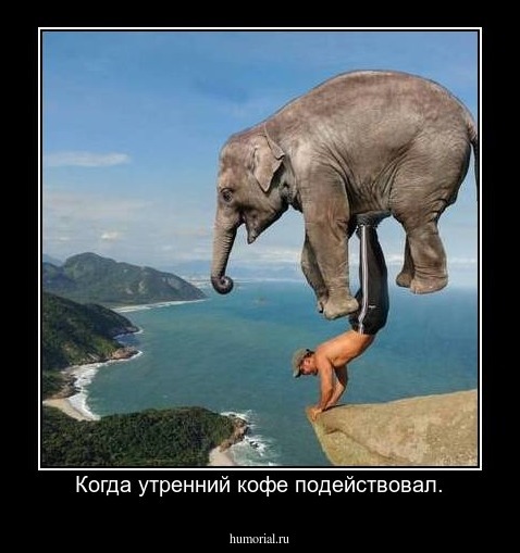 Когда утренний кофе подействовал.