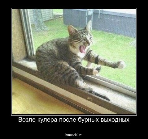 Возле кулера после бурных выходных