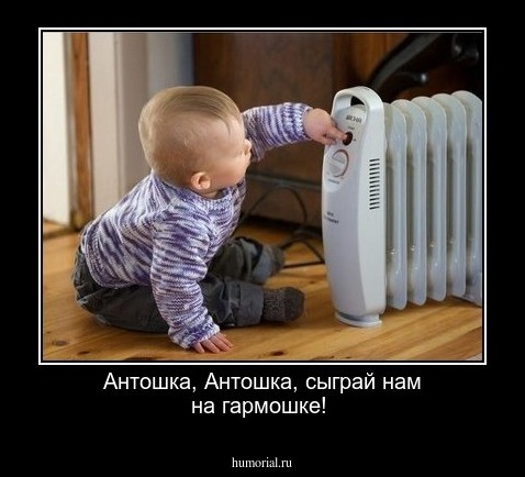 Антошка, Антошка, сыграй нам на гармошке!