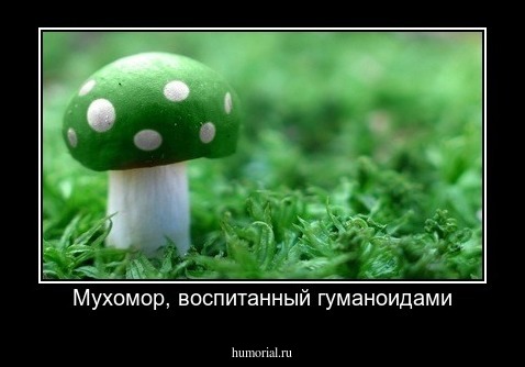 Мухомор, воспитанный гуманоидами