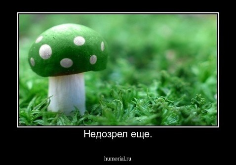 Недозрел еще.