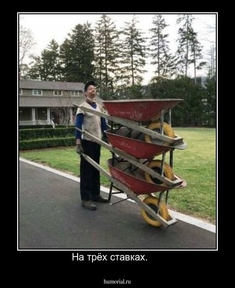 На трёх ставках.     