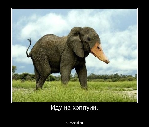 Иду на хэллуин.