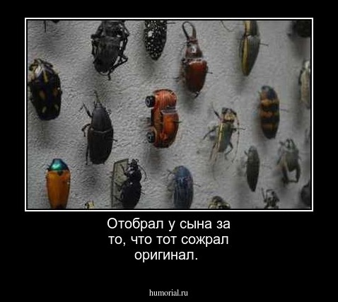 Отобрал у сына за то, что тот сожрал оригинал.