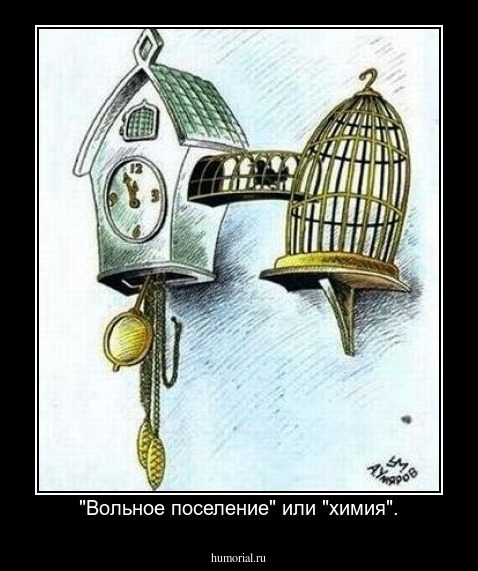 "Вольное поселение" или "химия".