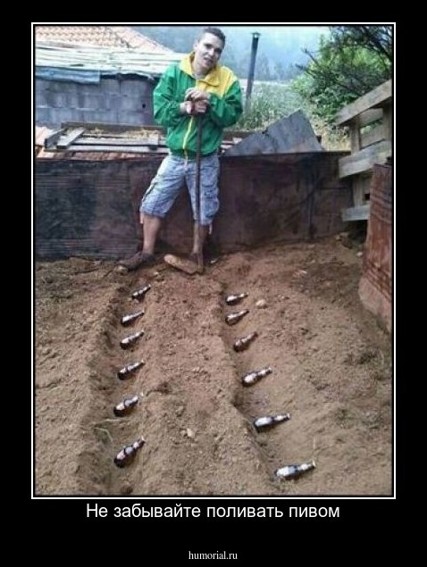 Не забывайте поливать пивом