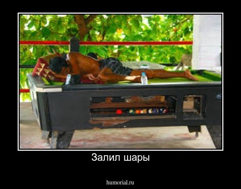 Залил шары