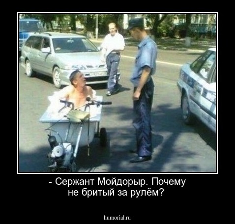 - Сержант Мойдорыр. Почему не бритый за рулём?