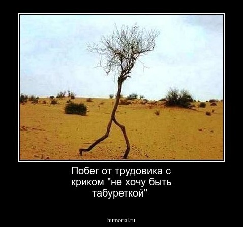 Побег от трудовика с криком "не хочу быть табуреткой" 