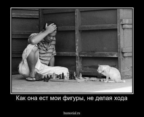 Как она ест мои фигуры, не делая хода