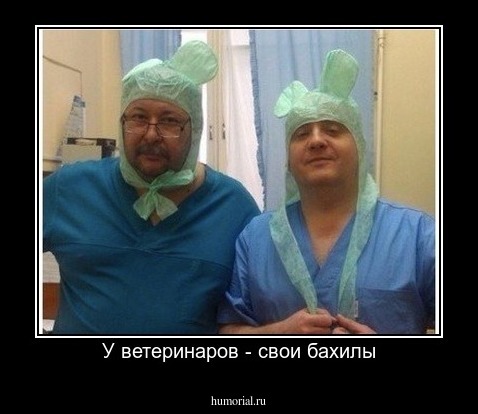 У ветеринаров - свои бахилы