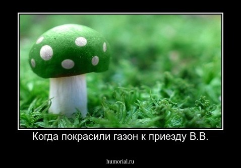 Когда покрасили газон к приезду В.В.