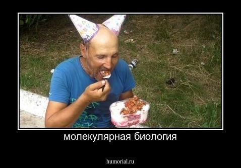 молекулярная биология
