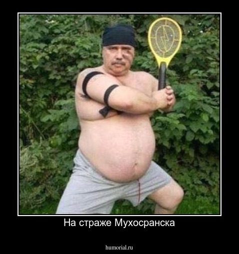 На страже Мухосранска