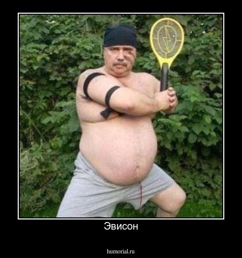 Эвисон