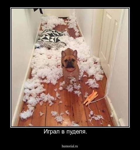 Играл в пуделя.     