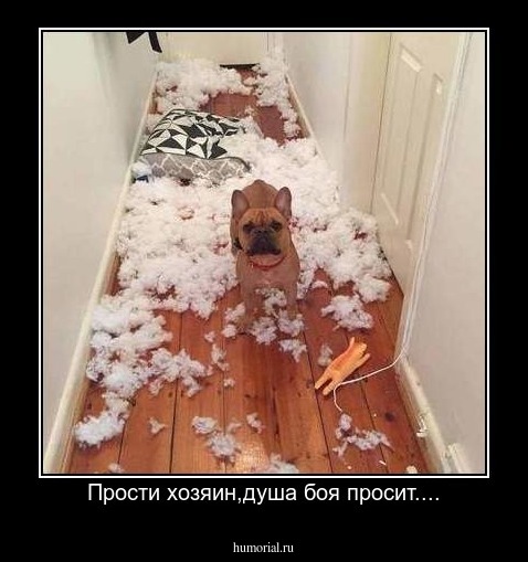 Прости хозяин,душа боя просит....