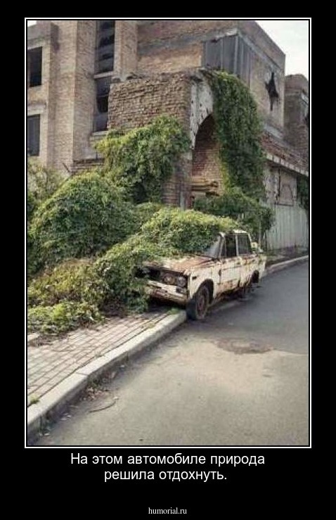 На этом автомобиле природа решила отдохнуть.