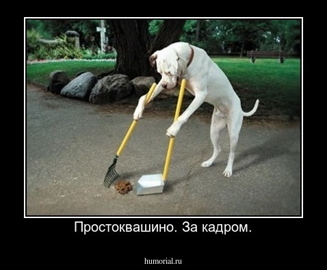 Простоквашино. За кадром.