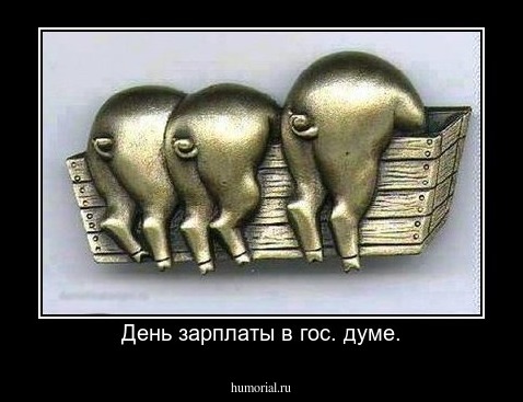 День зарплаты в гос. думе.