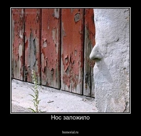 Нос заложило