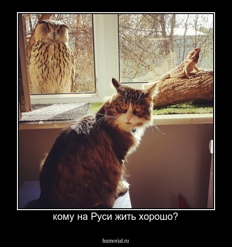 кому на Руси жить хорошо?