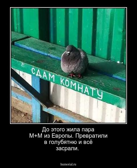 До этого жила пара М+М из Европы. Превратили в голубятню и всё засрали.