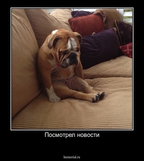 Посмотрел новости
