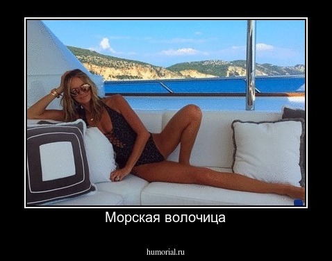 Морская волочица