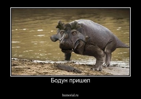 Бодун пришел