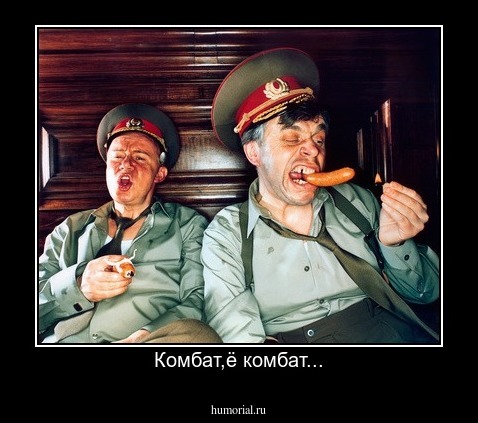 Комбат,ё комбат...