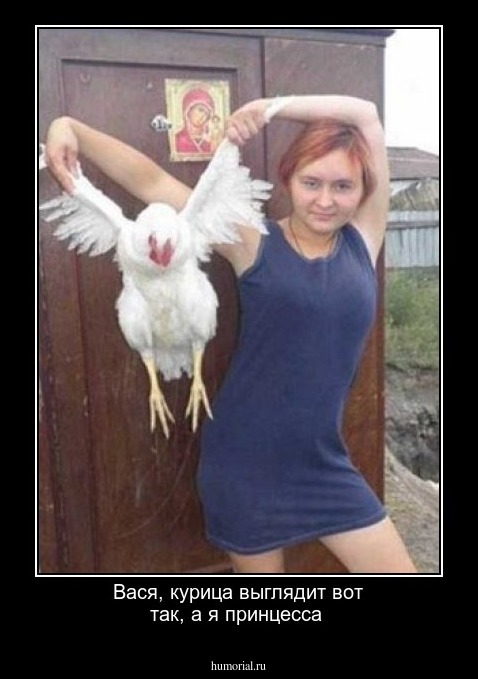 Вася, курица выглядит вот так, а я принцесса