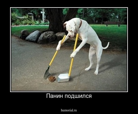 Панин подшился