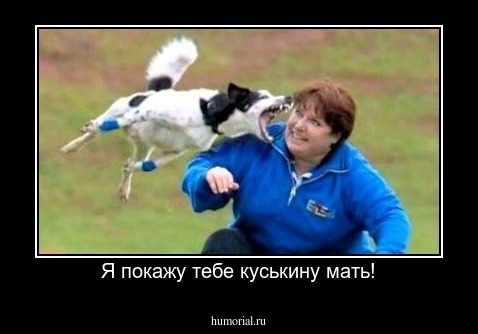 Я покажу тебе куськину мать!