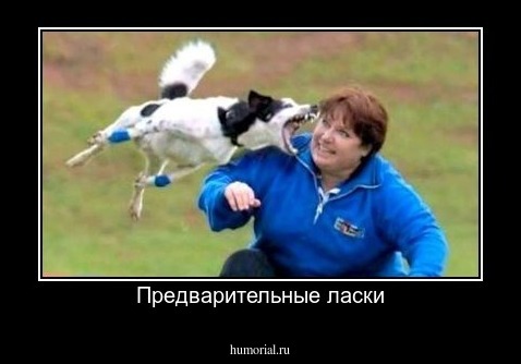 Предварительные ласки