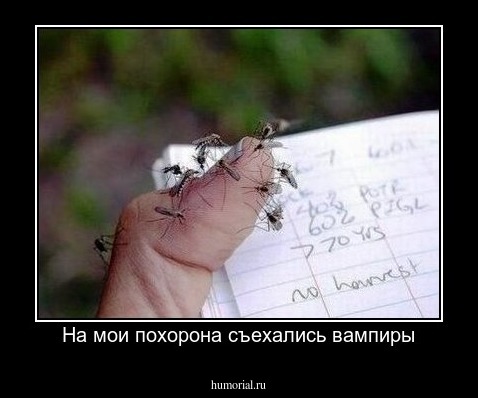 На мои похорона съехались вампиры
