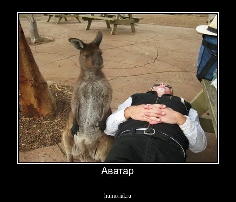 Аватар