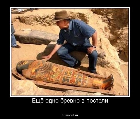Ещё одно бревно в постели