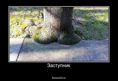 Заступник