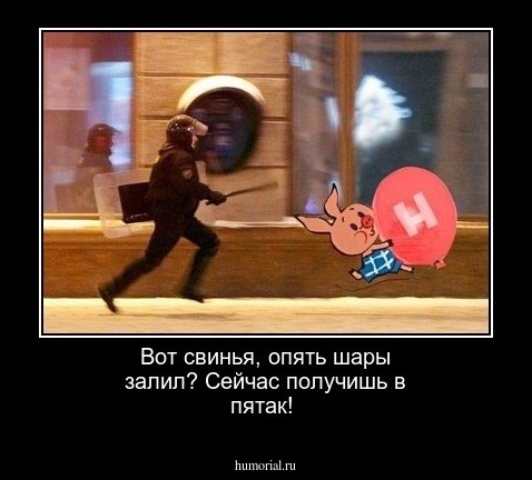 Вот свинья, опять шары залил? Сейчас получишь в пятак!