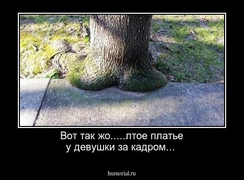 Вот так жо.....лтое платье  у девушки  за кадром...